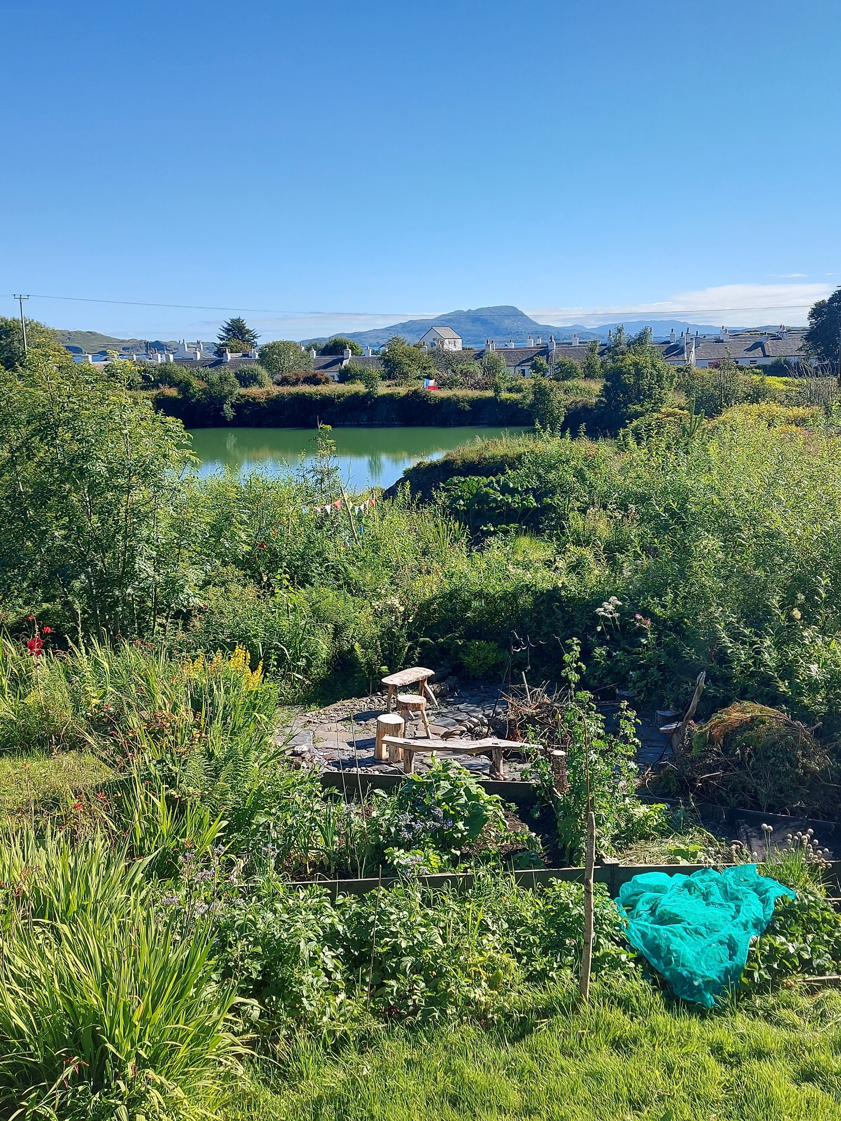 Paisaje rural con un estanque, vegetación y una pequeña construcción de madera.