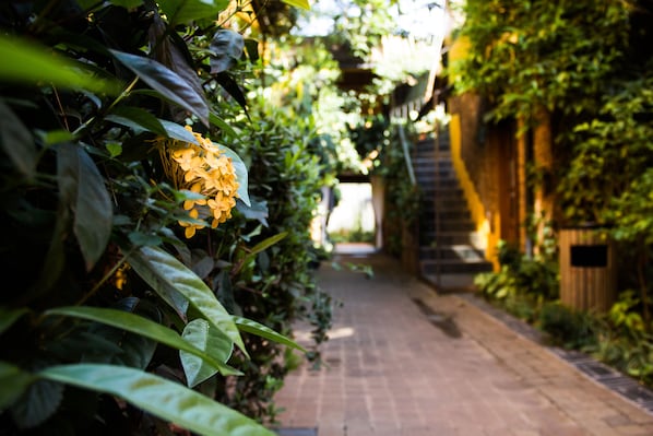 Property grounds - Hotel Le Bougainviller (Kampala)