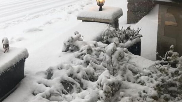 Un paysage enneigé avec une maison, un chemin recouvert de neige et une lanterne posée sur un banc.