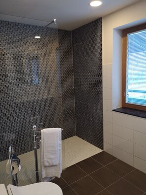 Chambre Deluxe | Douche de la salle de bain