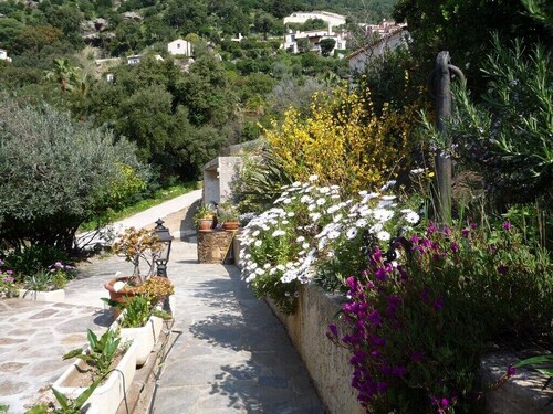 Charming house for 8 people with terrace in Cavalaire sur Mer