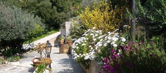 Charming house for 8 people with terrace in Cavalaire sur Mer