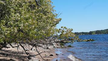 Enjoy a serene beach scene with a tree's branches stretching over the sandy shore, surrounded by gentle waves and a peaceful atmosphere.