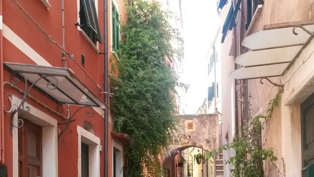 A narrow alleyway with buildings on either side, featuring a cobblestone path and potted plants. - B&B Aria (Sarzana)