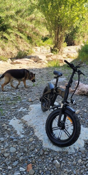 Explore the great outdoors with a bike ride along the scenic path.