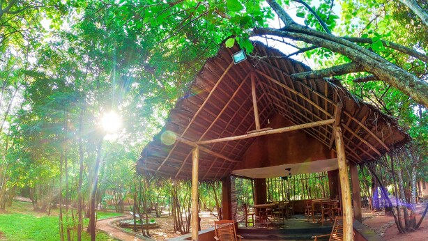 BBQ/picnic area - Sigiri Forest Kingdom (Sigiriya)