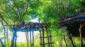 Garden - Sigiri Forest Kingdom (Sigiriya)