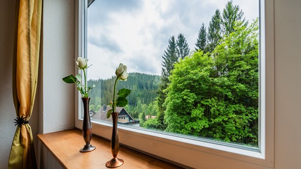 Una ventana con vista a un bosque y una casa, un estante de madera con un jarrón y una flor, y una cortina a la izquierda.