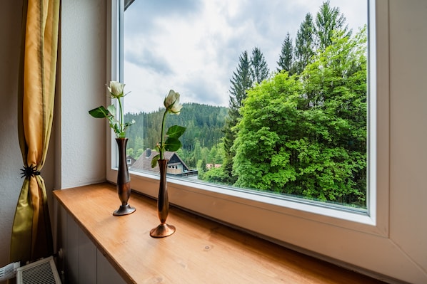 Comfort Apartment | View from room