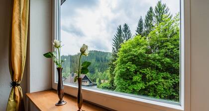 Ferienwohnungen Hafermarkt