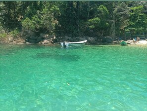 Paseos en bote