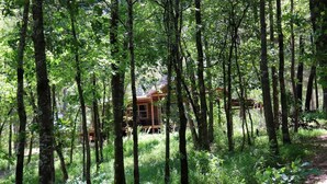 Une cabane entourée de grands arbres dans une forêt.