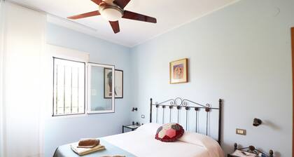 1121 Apt. Esmeralda-Meneguina
