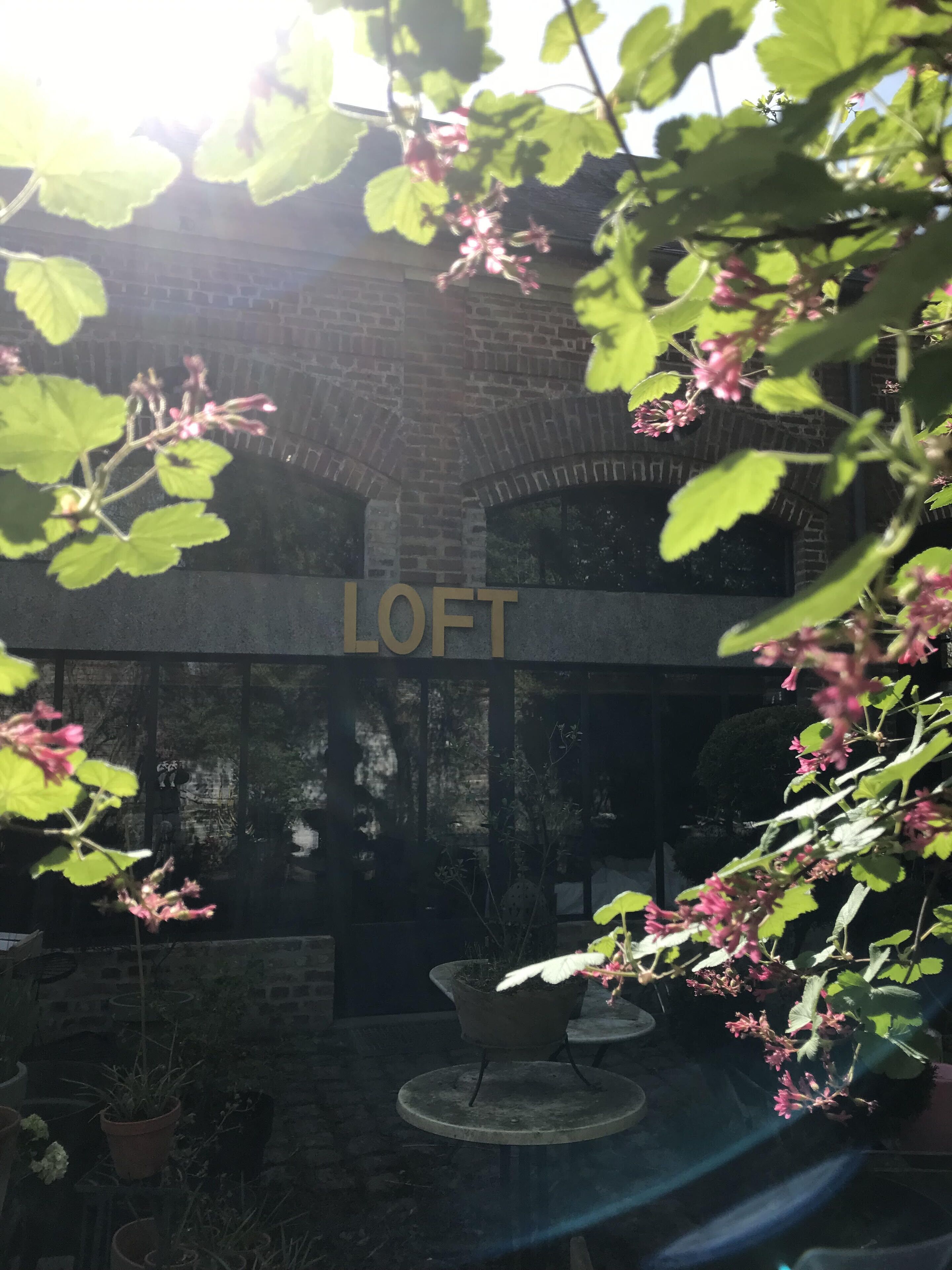 Un edificio de ladrillo con la palabra "LOFT" en la fachada. Hay plantas en macetas y una pequeña mesa en primer plano.