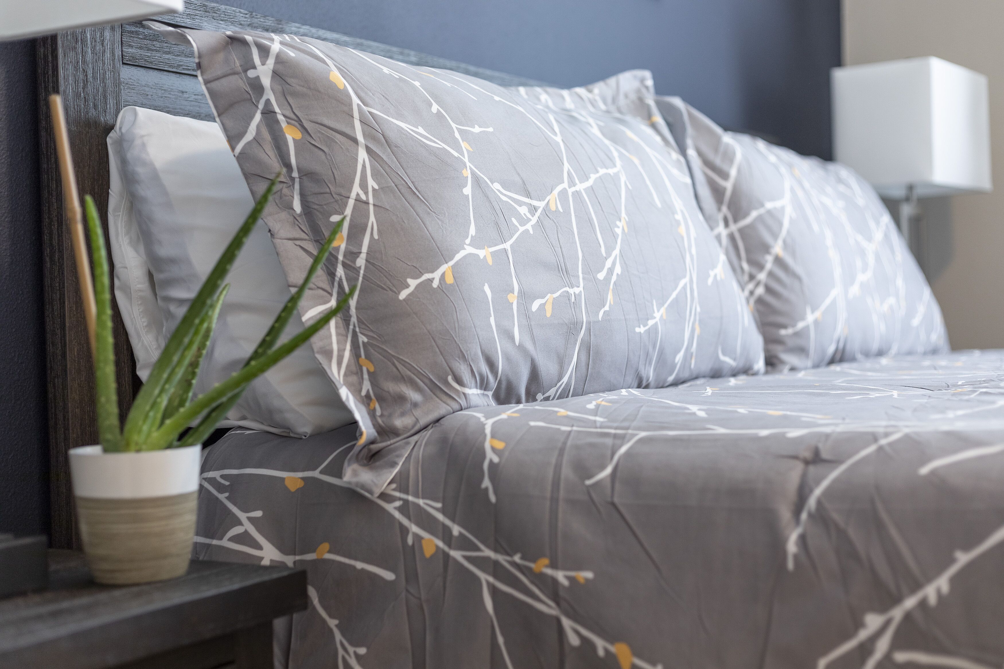 A neatly made bed with grey bedding and white branch patterns, a potted aloe vera plant, and a bedside table with a lamp.