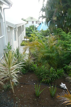 A garden with various plants and a white building with a green roof. - BUNGALOW HOME PRM. (Poirier - Pigeon Bouillante)