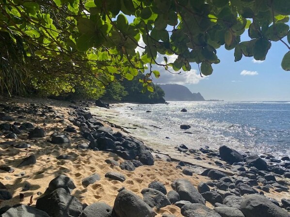 海滩