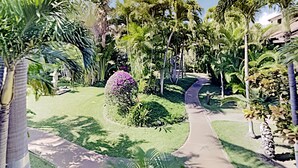 En välskött trädgård med en slingrande gång, palmer och ett stort utbud av buskar och blommor.