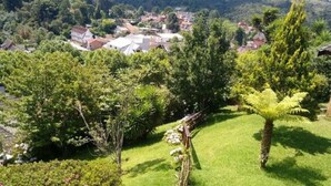 Un paisaje verde exuberante con diversos árboles y un césped bien cuidado.