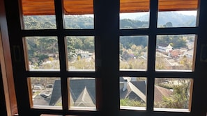 A view through a window with multiple panes, revealing a residential area with houses and trees.