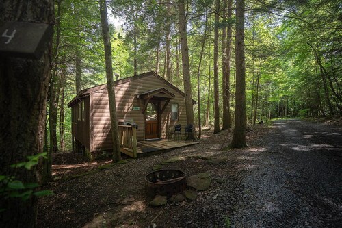 Cozy Romantic Cabin with Hot Tub on Screened Porch 