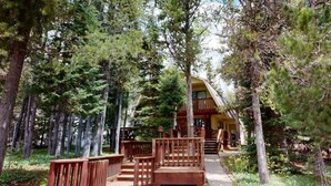 Une cabane en bois dotée d’un porche, entourée de grands pins.