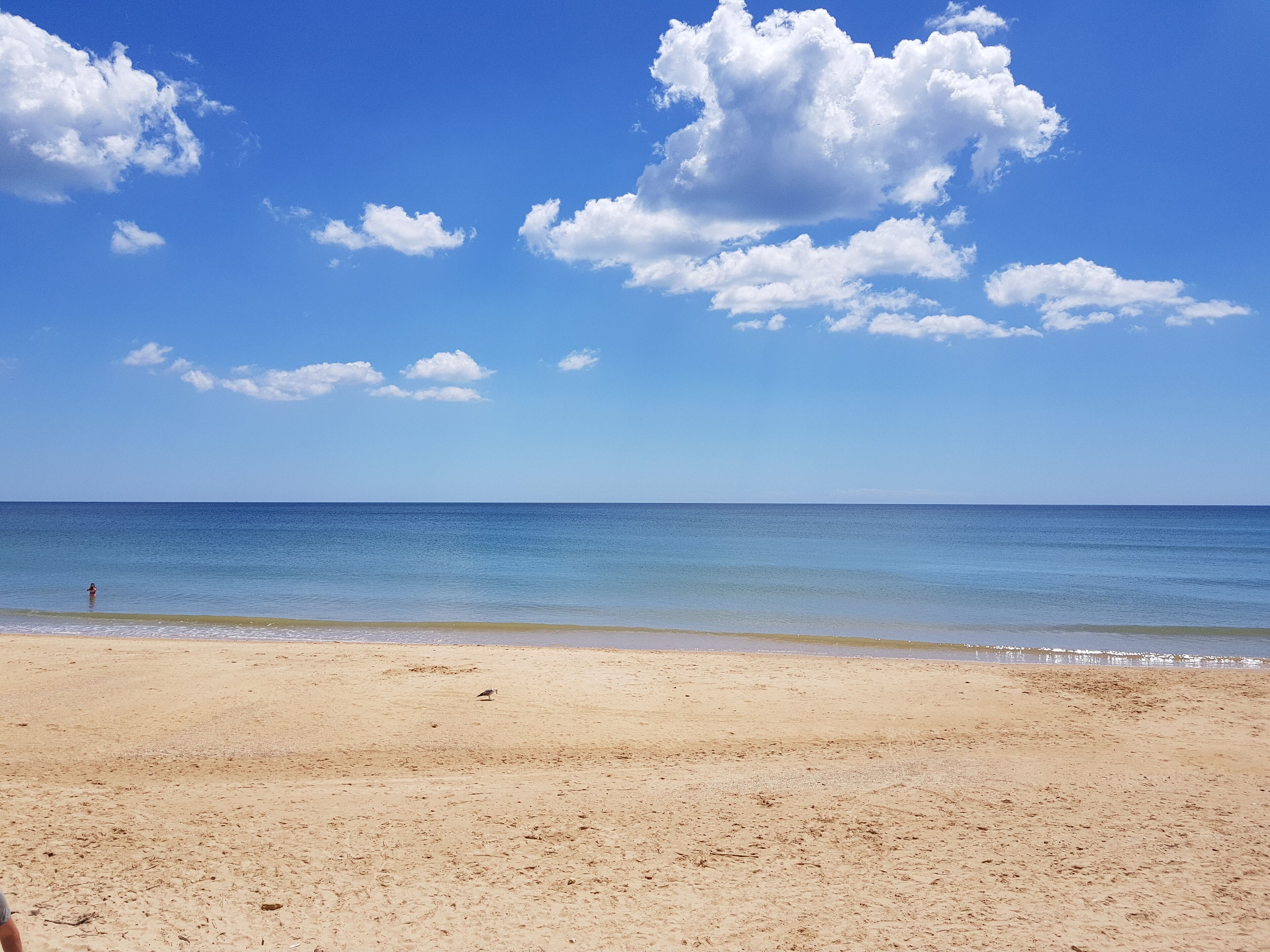 Beach nearby, sun loungers