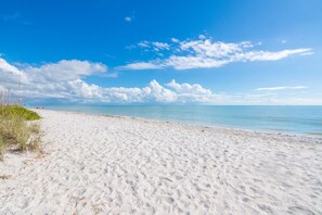 Plage, chaises longues, serviettes de plage