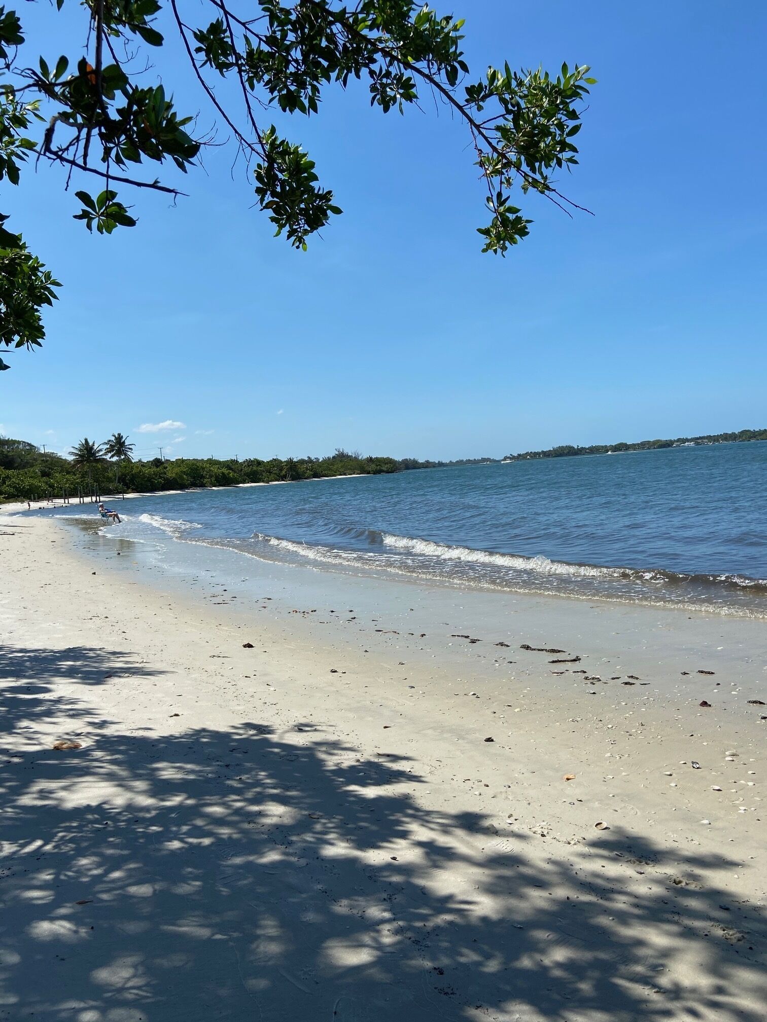 Rannalla, aurinkotuoleja, rantapyyhkeitä