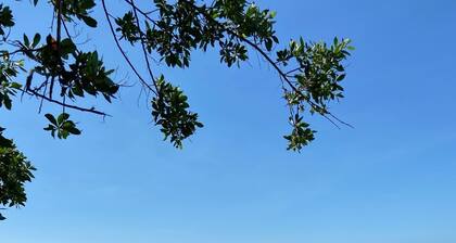 Palm Beach-merenneito