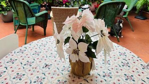 A patio area with outdoor seating, a table with a floral tablecloth, and various potted plants. - West Palm Beach Paradise  (West Palm Beach)