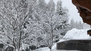 A snow-covered outdoor area with trees and a wooden structure. - Nice Chalet LEON located in Plangagnant (1650 m) La PLAGNE - LA ROCHE chairlift (Plangagnant)