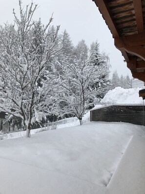Zona esterna innevata con alberi e una struttura in legno.