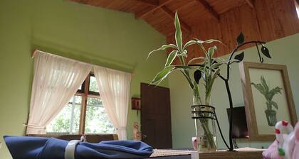 *** Cassidini Haus ***