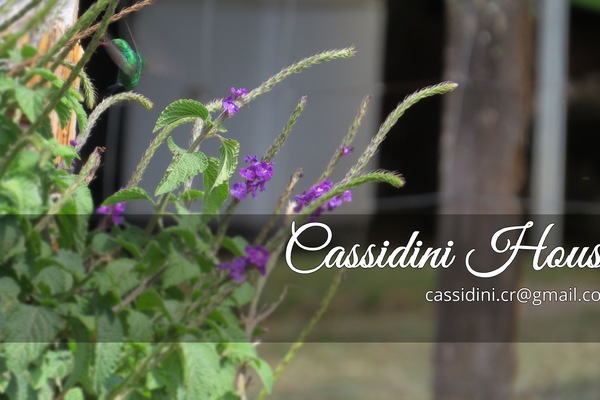 DĂ©tail de lâextĂ©rieur