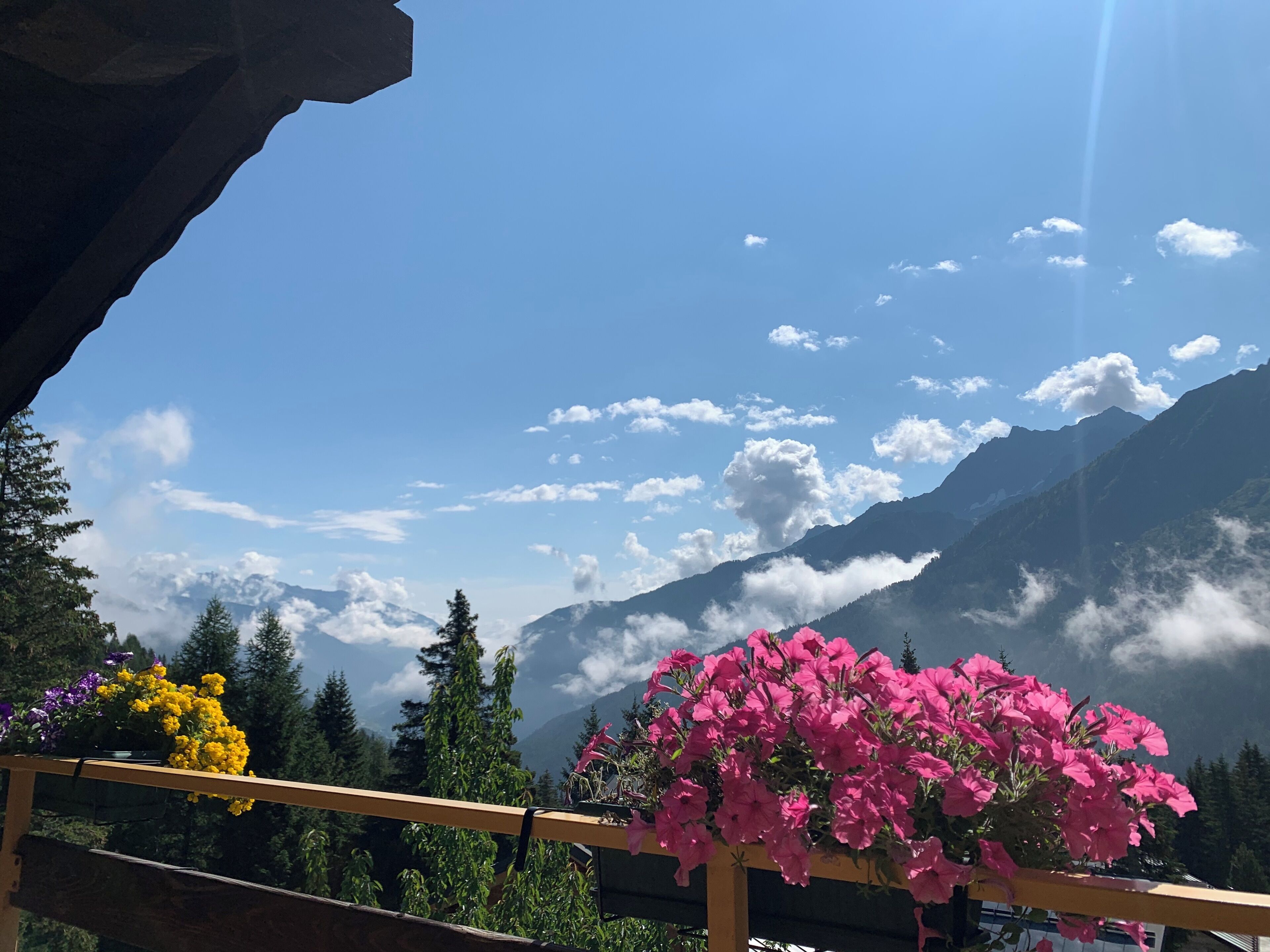View from property