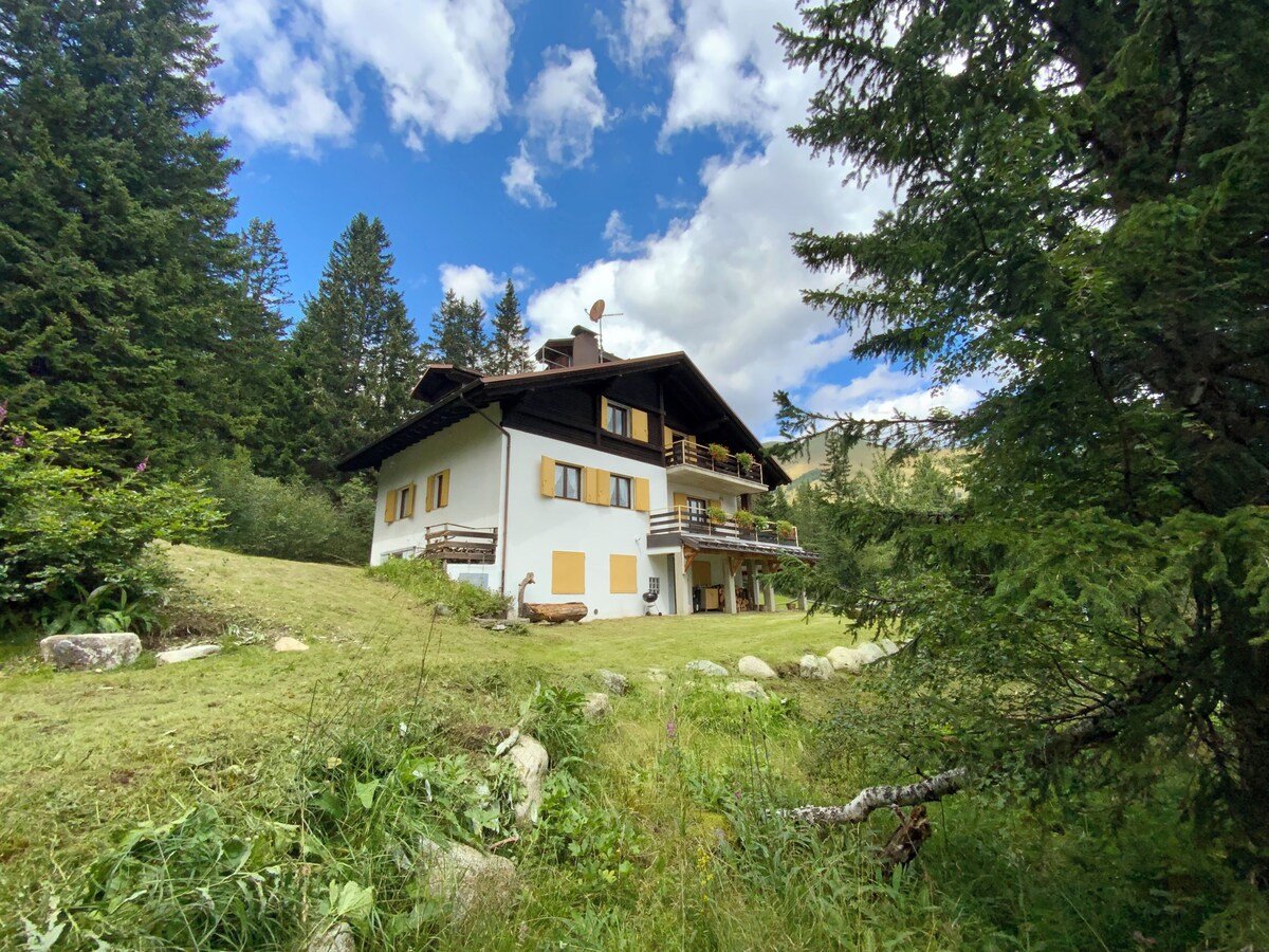 Image de profil de l’hôte