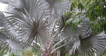 Posada Yaxche