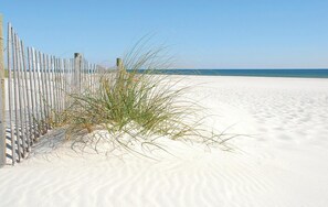 On the beach