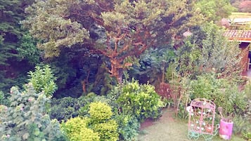 Vista al jardín