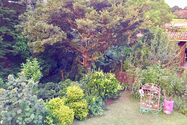 Doppia Deluxe, 1 letto queen, vista fiume | Vista giardino