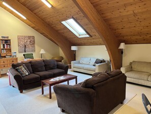Smart TV, fireplace, video games, DVD player