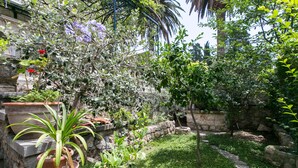 A garden with potted plants, a stone wall, and a stone pathway. - Rooms Posat - Triple Room with Sea View (Dubrovnik)