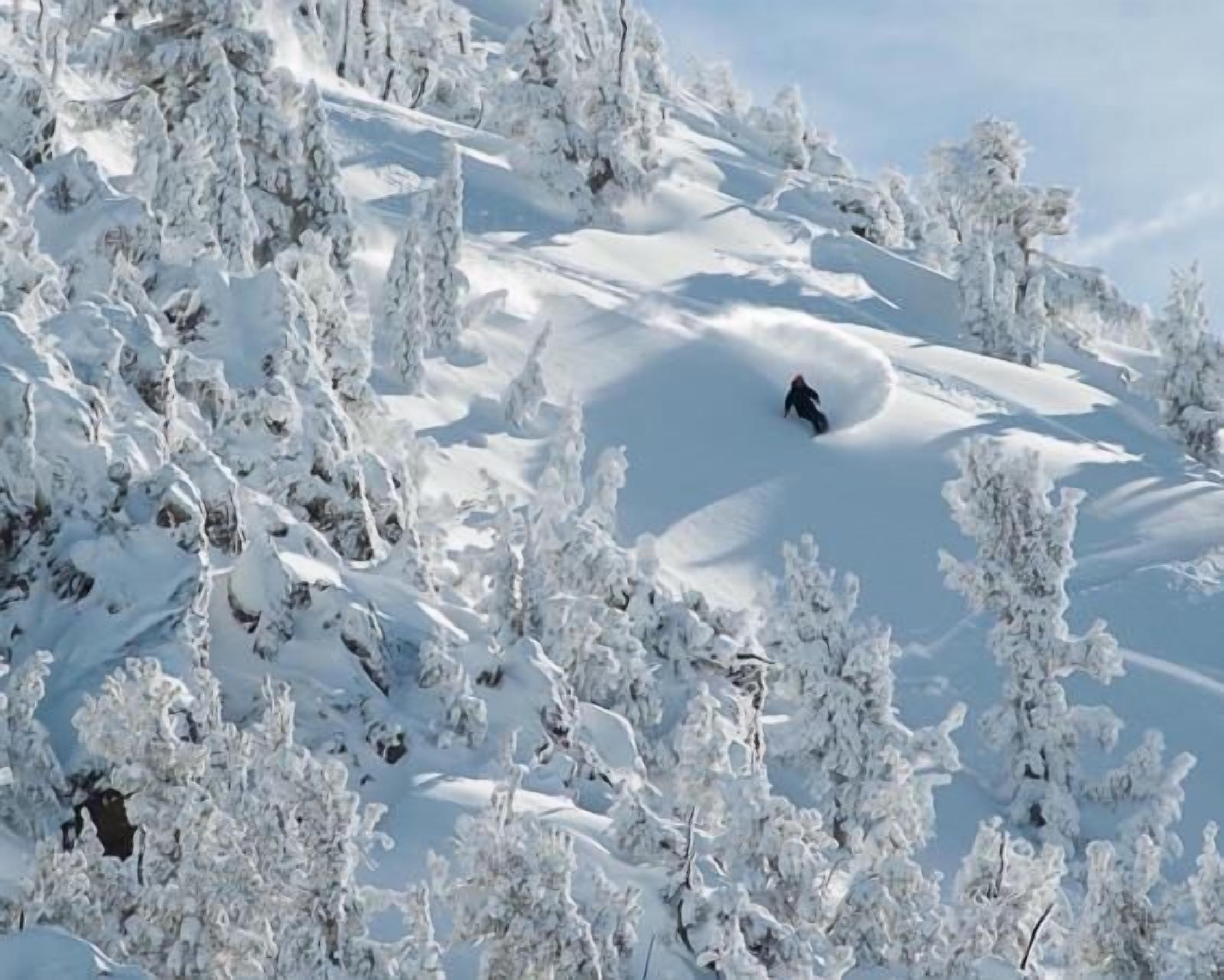 Eine verschneite Berglandschaft mit Bäumen.