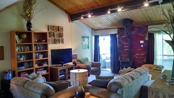 Smart TV, fireplace, DVD player, books