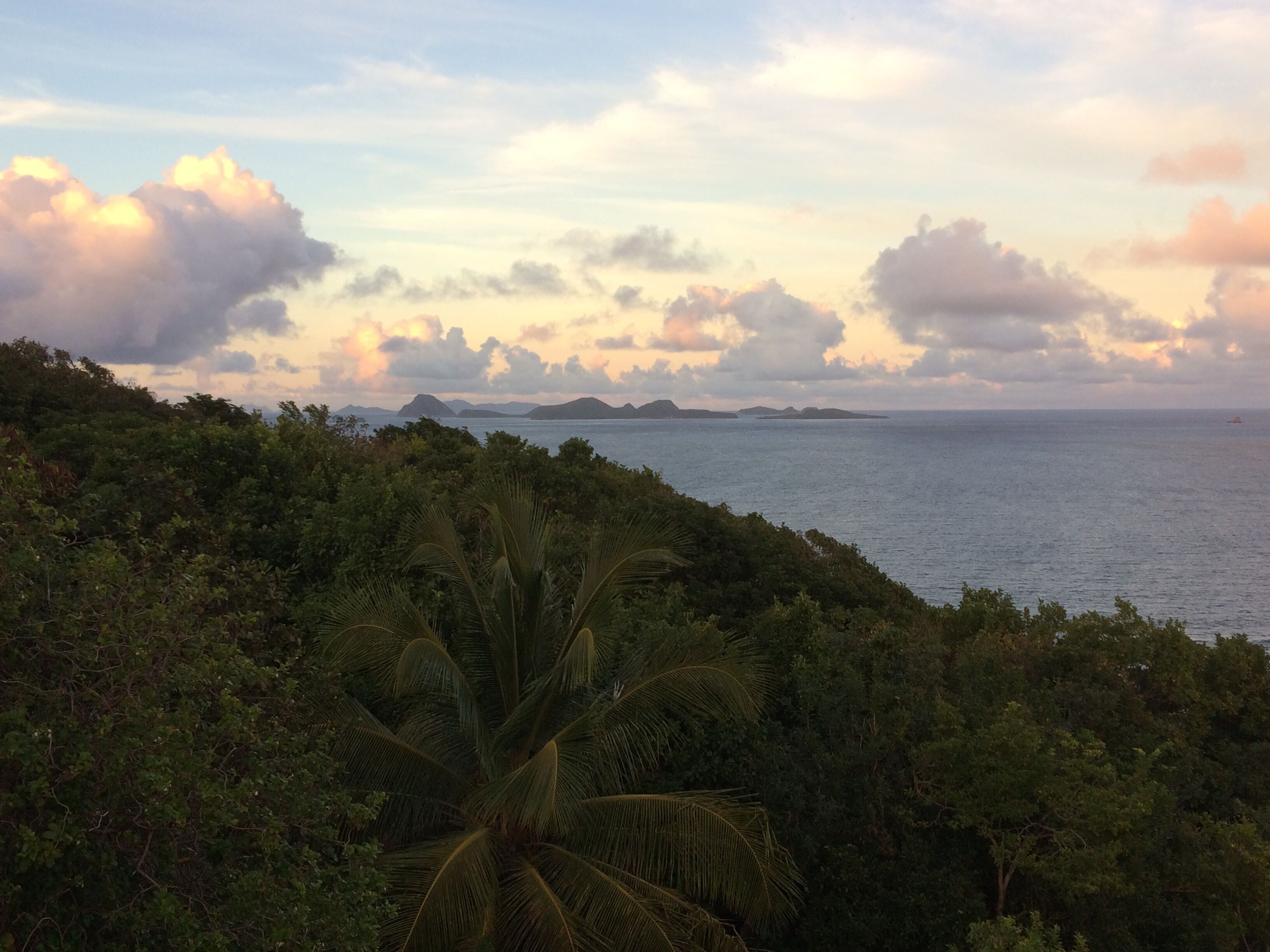 A coastal landscape with dense greenery and a view of the sea.