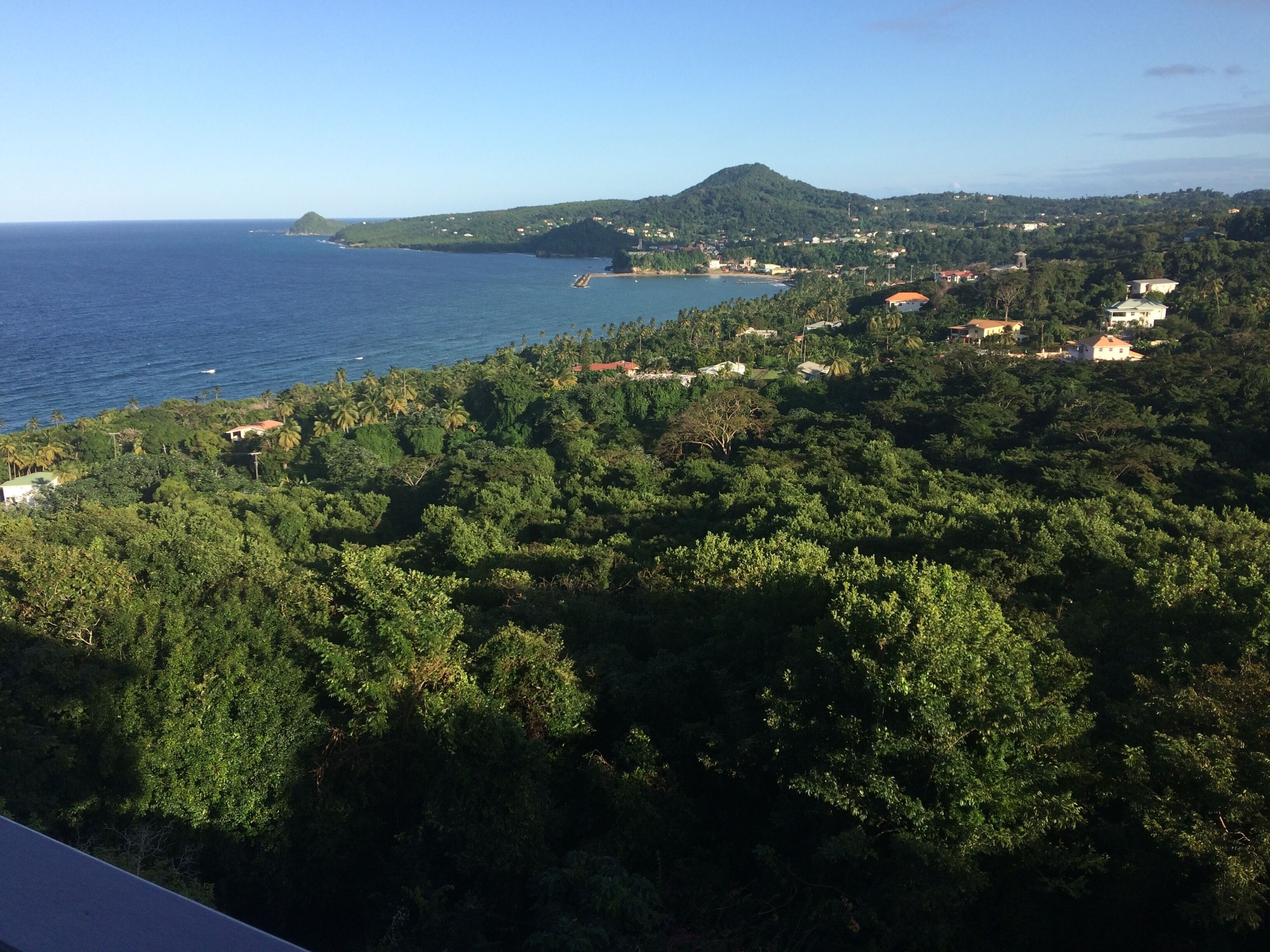 A coastal landscape with dense greenery, a mountain, and scattered buildings.