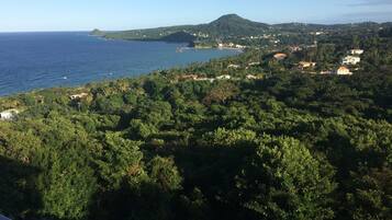 A coastal landscape with dense greenery, a mountain, and scattered buildings.