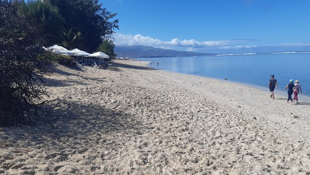 A sandy beach with umbrellas and a calm sea. - Magnificent F1 Apartment, The Coral Garden, in the Heart of Saline les Bains (La Saline-Les-Bains)