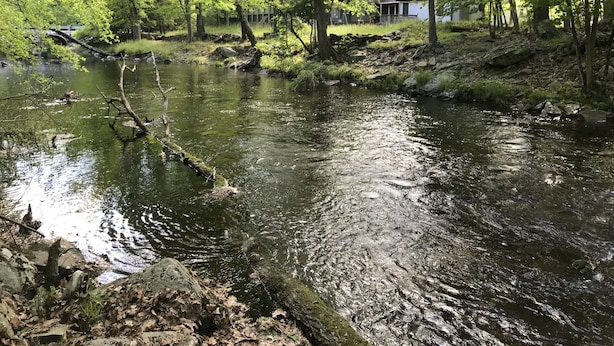 A river flowing through a wooded area with a house in the background. - Cozy Creekfront House with Sauna (Bushkill)